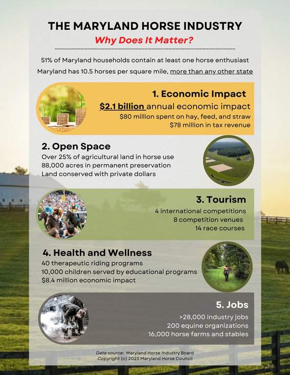 Horse-Industry-Overview-Leave-Behind-copy