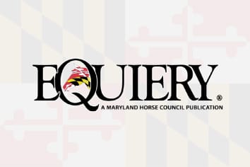Equiery Logo