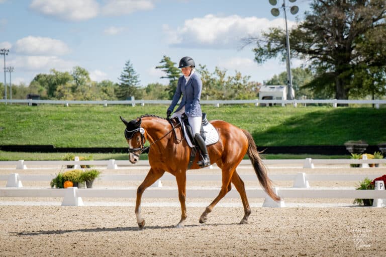 Latin Jet Dressage
